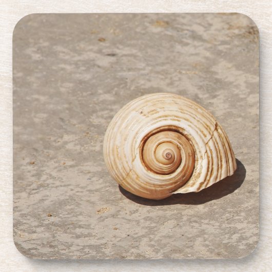SeaShell Untersetzer (Vorderseite)
