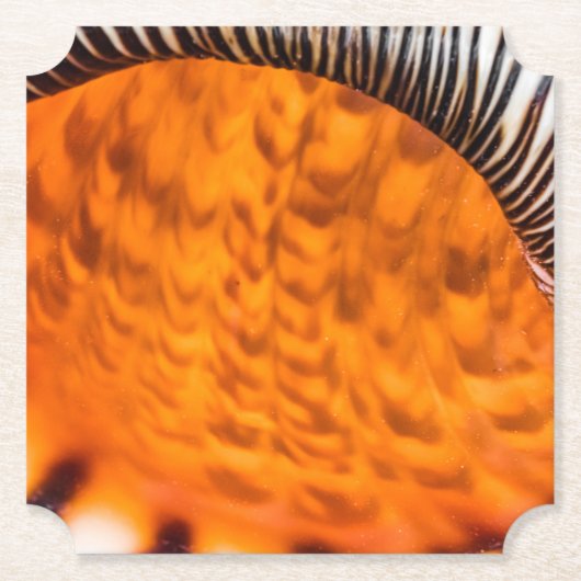 Seashell Untersetzer (Vorderseite)