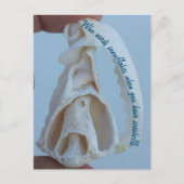 Seashell-Urlaubspostkarte Feiertagspostkarte (Vorderseite)