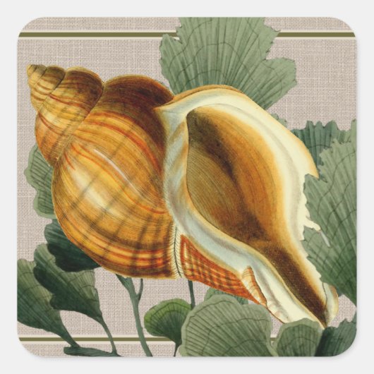Seashell Vintage Beach Square Sticker (Vorderseite)