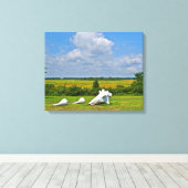 Seashell Wrapped Canvas Leinwanddruck (Insitu (Holzboden))