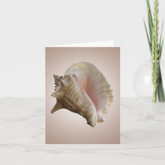 Seashelll Note Card Karte (Vorderseite)