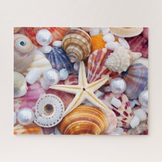 Seashells 520 Stück Puzzle (Horizontal)