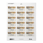Seashells Address Labels Adressaufkleber (Vorne)