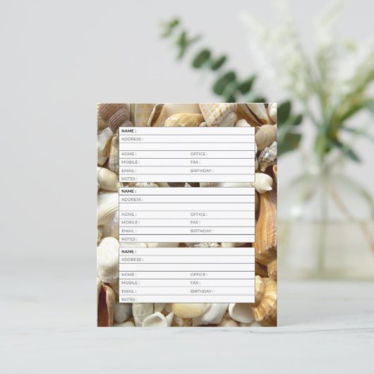 Seashells Adressbuchseite (Stehend Vorderseite)