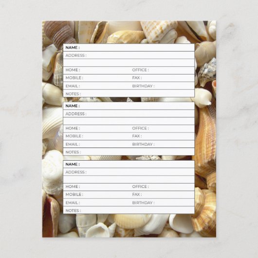 Seashells Adressbuchseite (Vorderseite)