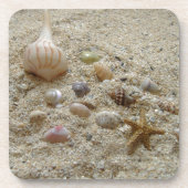 Seashells am Strand Sand Getränkeuntersetzer (Vorderseite)