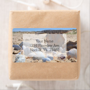 Seashells am Strand von Shirley Taylor