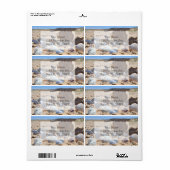 Seashells am Strand von Shirley Taylor (Vorne)