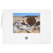 Seashells am Strand von Shirley Taylor (Rückseite Horizontal)