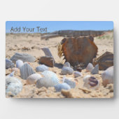 Seashells am Strand von Shirley Taylor Fotoplatte (Vorderseite)