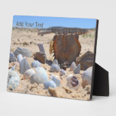 Seashells am Strand von Shirley Taylor Fotoplatte (Seite)