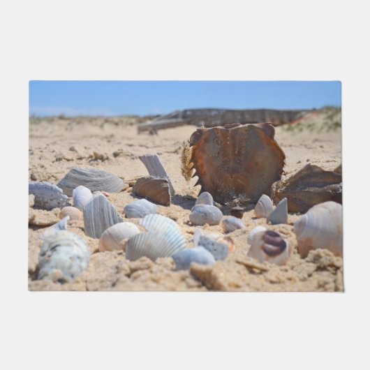 Seashells am Strand von Shirley Taylor Fußmatte (Vorderseite)