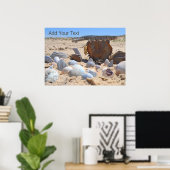 Seashells am Strand von Shirley Taylor Poster (Heimbüro)