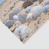 Seashells am Strand von Shirley Taylor Seidenpapier (Ausschnitt)