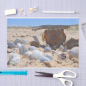 Seashells am Strand von Shirley Taylor Seidenpapier (Handwerk)