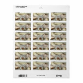 Seashells and Starfish Address Labels Adressaufkleber (Vorne)