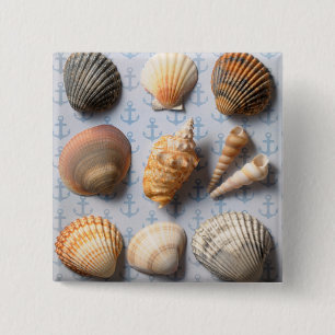 Seashells auf Anker-Hintergrund Button