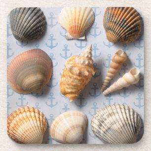 Seashells auf Anker-Hintergrund Getränkeuntersetzer