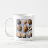 Seashells auf Anker-Hintergrund Kaffeetasse (Links)