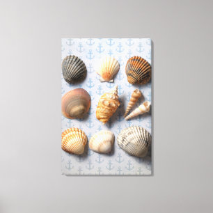 Seashells auf Anker-Hintergrund Leinwanddruck