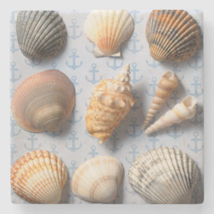 Seashells auf Anker-Hintergrund Steinuntersetzer