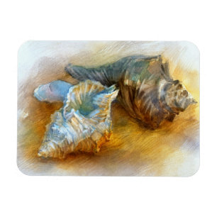 Seashells auf dem Strand Magnet