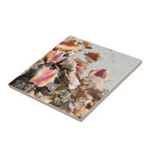 Seashells auf den Türken des Strand-| und dem Fliese (Seite)