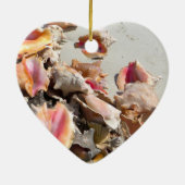 Seashells auf den Türken des Strand-| und dem Keramikornament (Hinten)