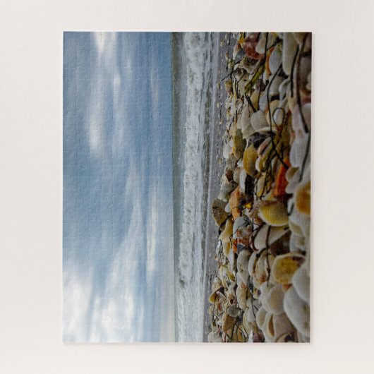 Seashells auf der Küste - 16x20 - 520 PC Puzzle (Vertikal)