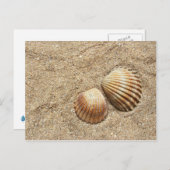 Seashells auf der Sand-Postkarte Postkarte (Vorne/Hinten)
