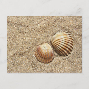 Seashells auf der Sand-Postkarte Postkarte
