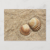 Seashells auf der Sand-Postkarte Postkarte (Vorderseite)