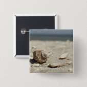 Seashells auf Sand durch das Meer Button (Vorne & Hinten)