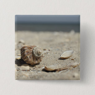 Seashells auf Sand durch das Meer Button