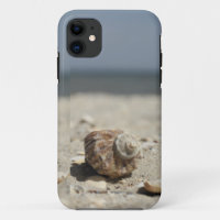 Seashells auf Sand durch das Meer