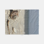 Seashells auf Sand durch das Meer Fleecedecke (Vorderseite (Horizontal))