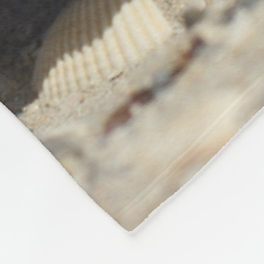Seashells auf Sand durch das Meer Fleecedecke (Ecke)