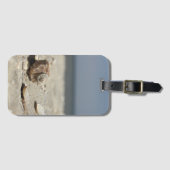 Seashells auf Sand durch das Meer Gepäckanhänger (Vorderseite (Horizontal))