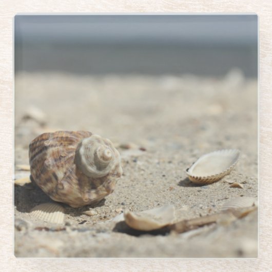 Seashells auf Sand durch das Meer Glasuntersetzer (Vorderseite)