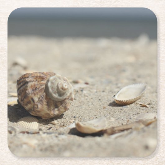 Seashells auf Sand durch das Meer Rechteckiger Pappuntersetzer (Vorderseite)