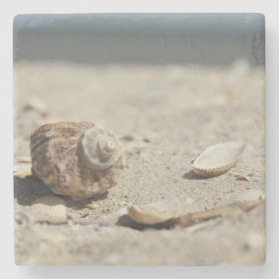 Seashells auf Sand durch das Meer Steinuntersetzer