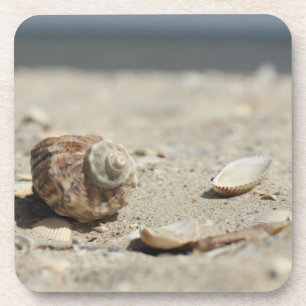 Seashells auf Sand durch das Meer Untersetzer