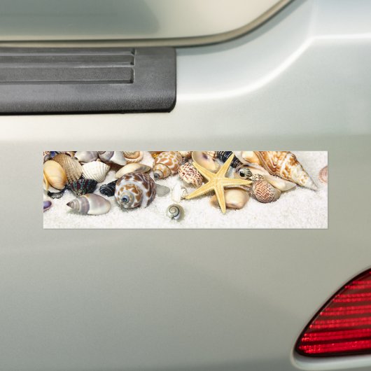 Seashells Autoaufkleber (Auf Auto)