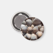 Seashells Beach, Summer Holiday Magnet (Vorderseite/Rückseite)