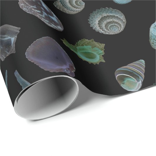 Seashells Black Glossy Matt Wrapping Paper Geschenkpapier (Rolleneckpunkt)