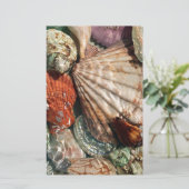 Seashells Briefpapier (Stehend Vorderseite)