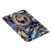 Seashells, Cape Town, Western Cape Magnet (Rechte Seite)