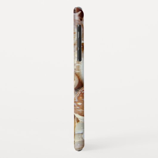 Seashells Case-Mate iPhone Hülle (Hinten/Links)