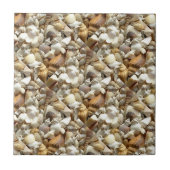 Seashells Collage Fliese (Vorderseite)